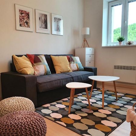 Apartmany Brachovna Mikulov v Krusnych Horach Buitenkant foto