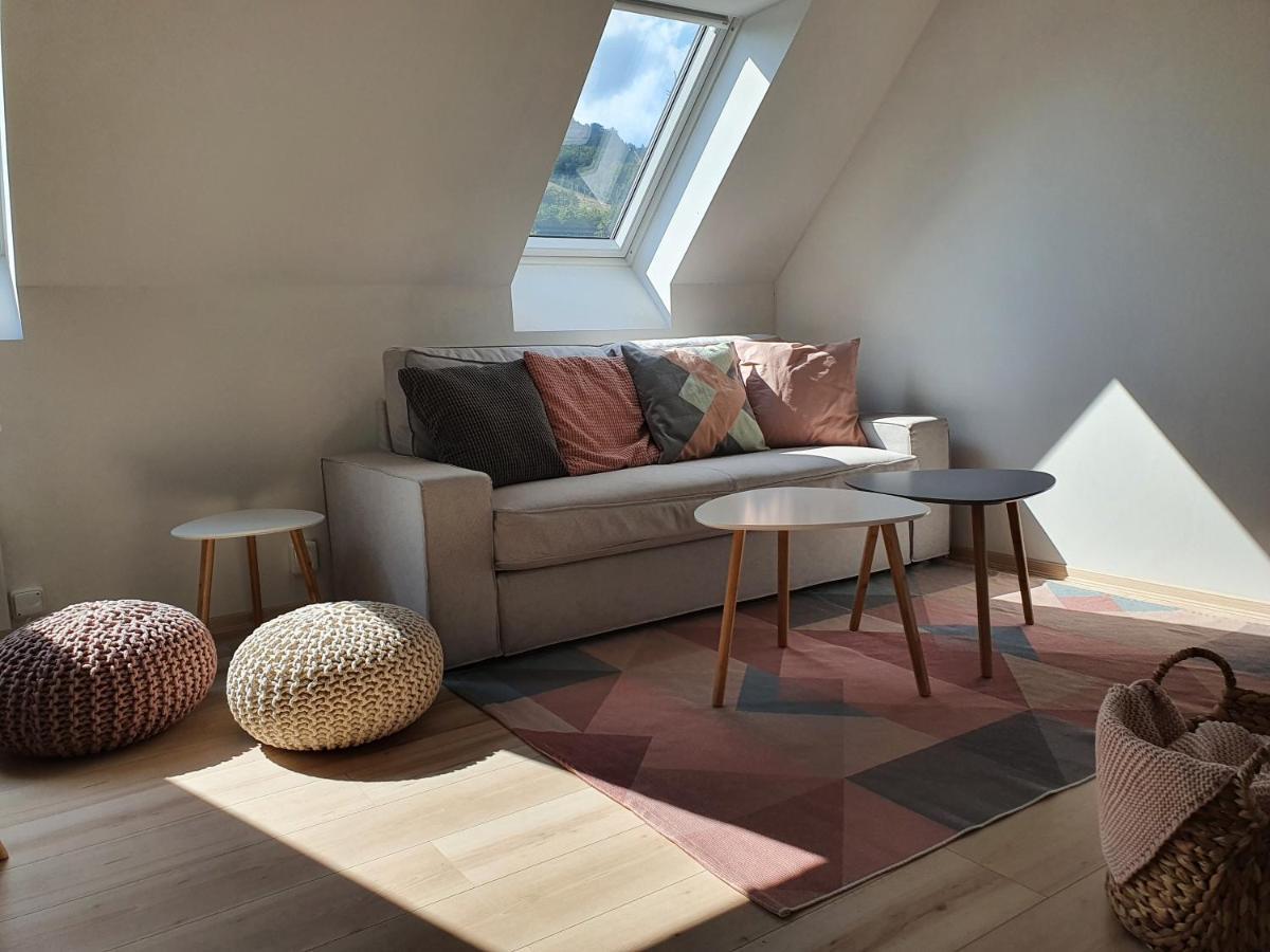 Apartmany Brachovna Mikulov v Krusnych Horach Buitenkant foto
