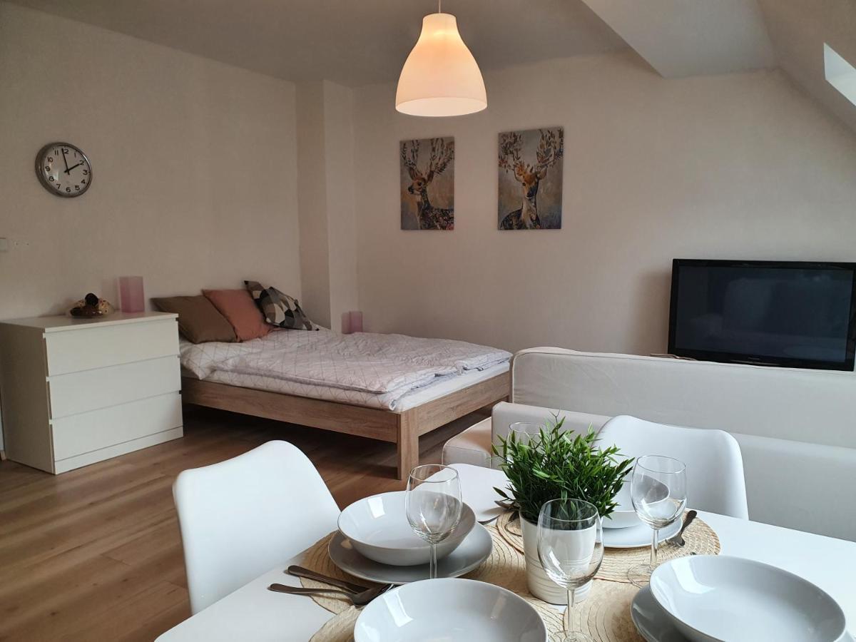 Apartmany Brachovna Mikulov v Krusnych Horach Buitenkant foto